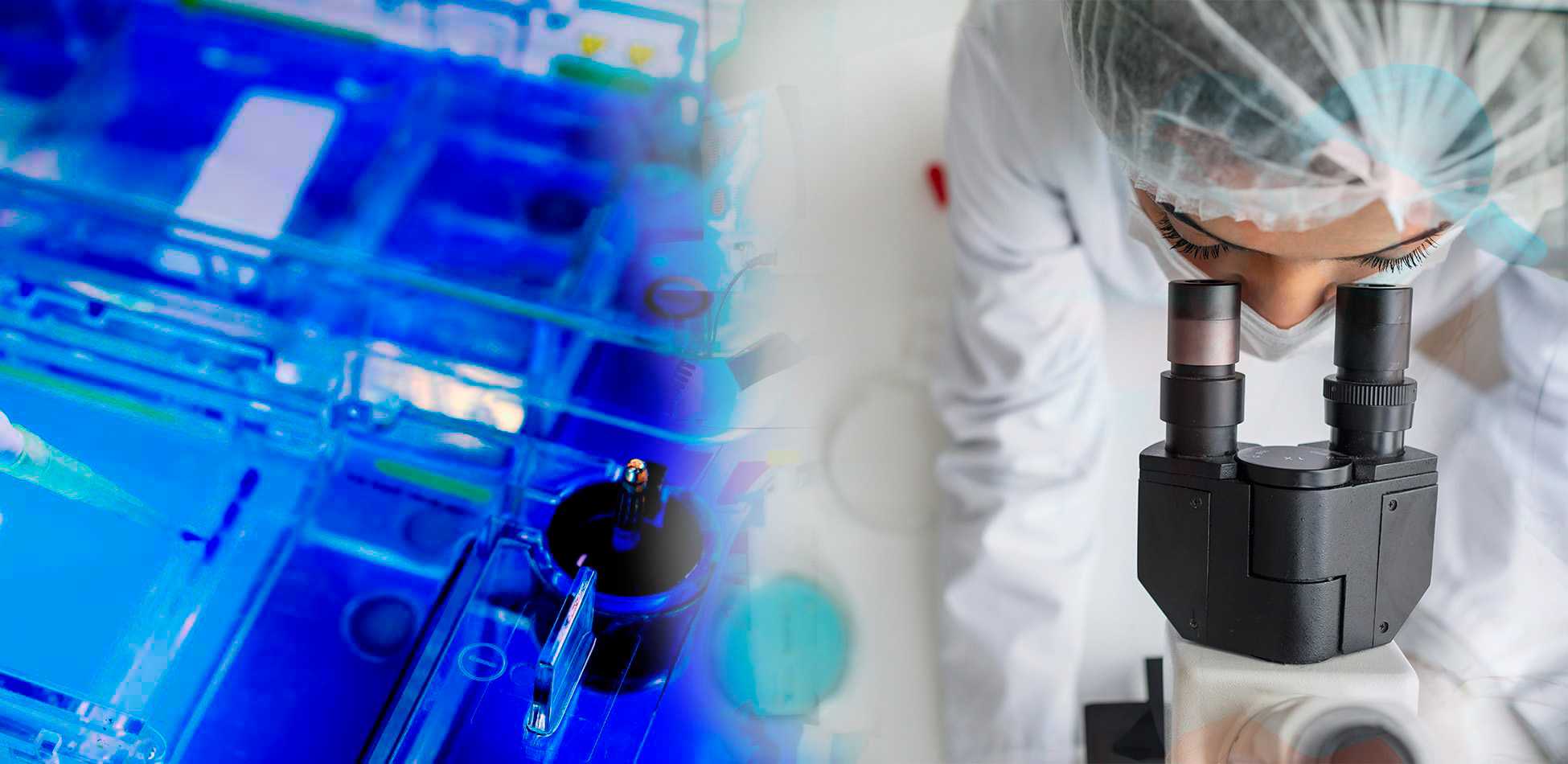 laboratorio